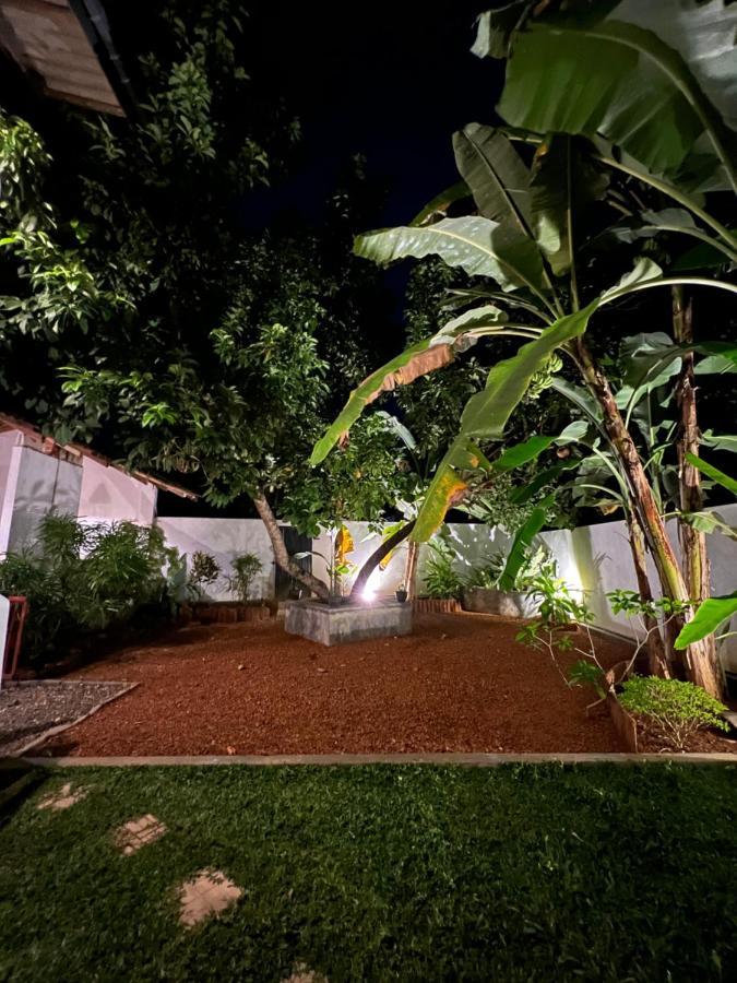 Jungle Villa 아항가마 외부 사진