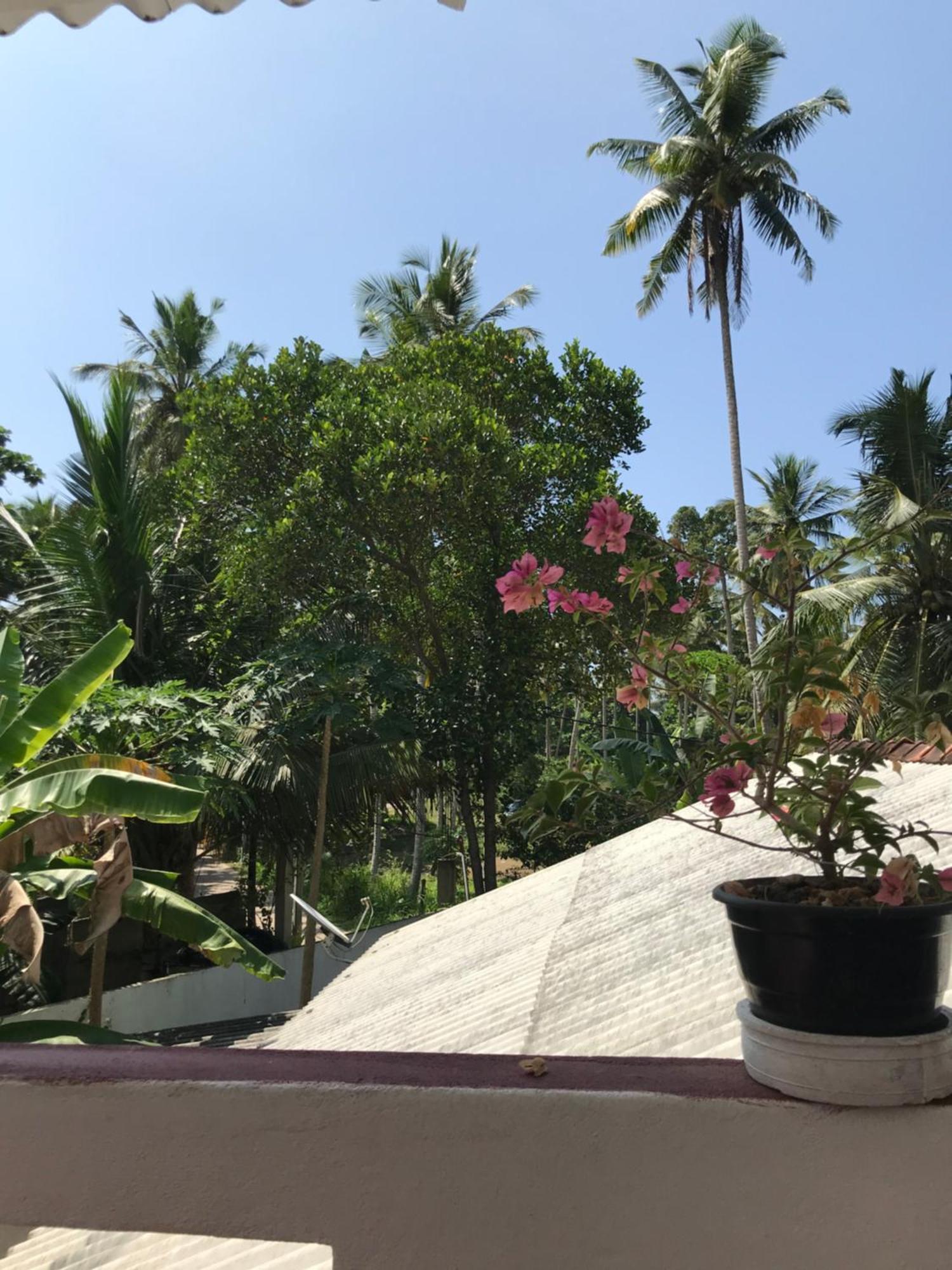 Jungle Villa 아항가마 객실 사진